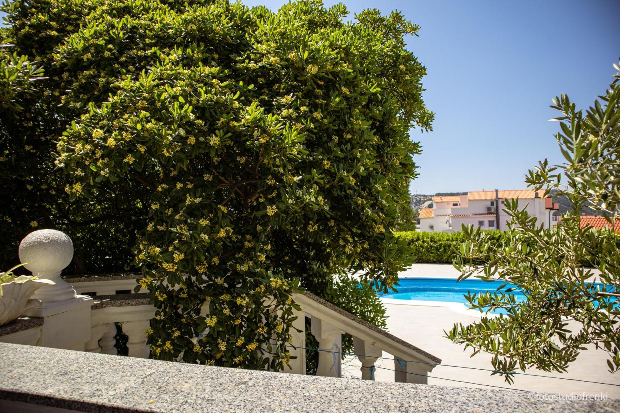 Guesthouse Marija Lopar Bagian luar foto